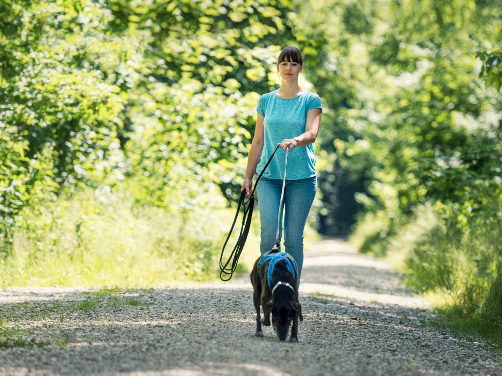 Mantrailing Trainer Ausbildung